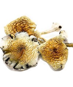 Alacabenzi