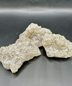 Champagne Molly