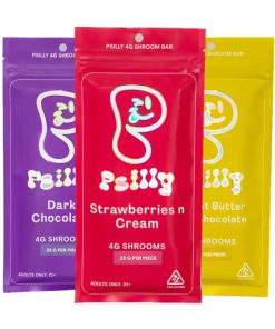 Psilly Mushroom Chocolate Bars 4G