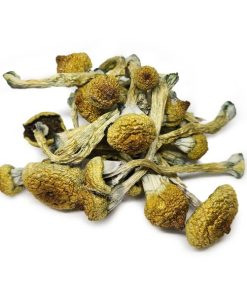 Texas Yellow Cap